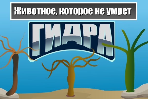 Kraken ссылка на сайт актуальная