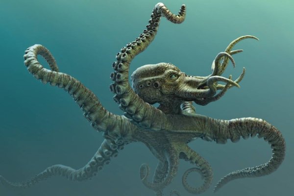 Kraken сайт зеркала