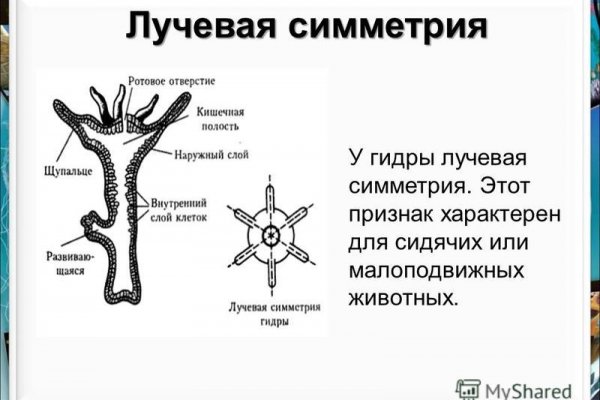 Как зайти на кракен с компа